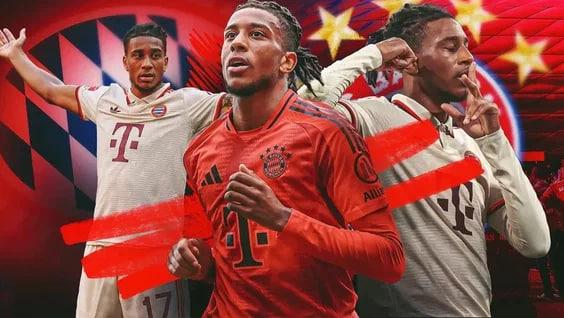 The Rise of Gourmet Street Food: Trends and Top Picks