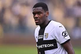 The Rise of Gourmet Street Food: Trends and Top Picks